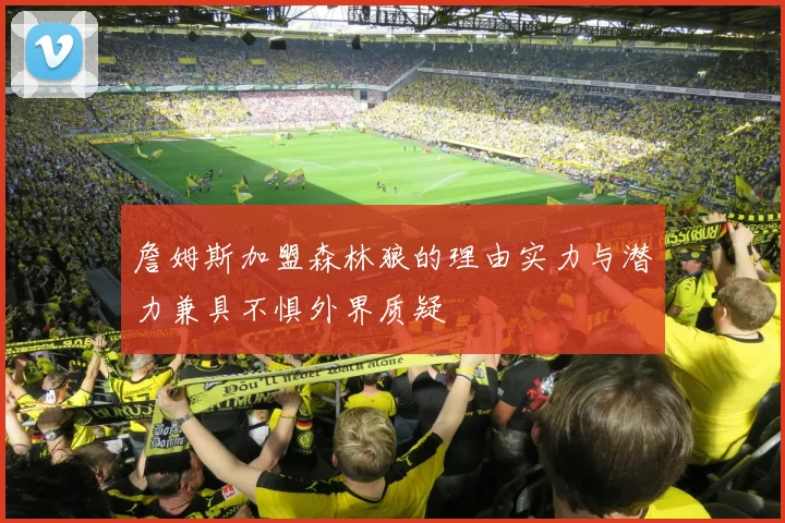 詹姆斯加盟森林狼的理由实力与潜力兼具不惧外界质疑